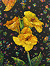 Floral Interpretation - Canna Lily